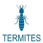 Diagnostic Termites